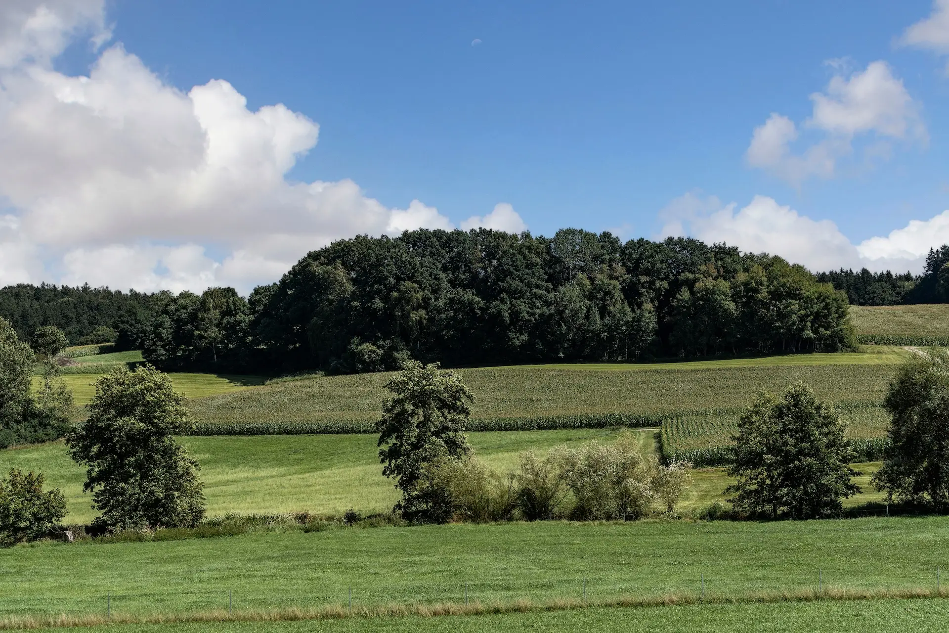 Wiesen und Felder in der Staudenlandschaft